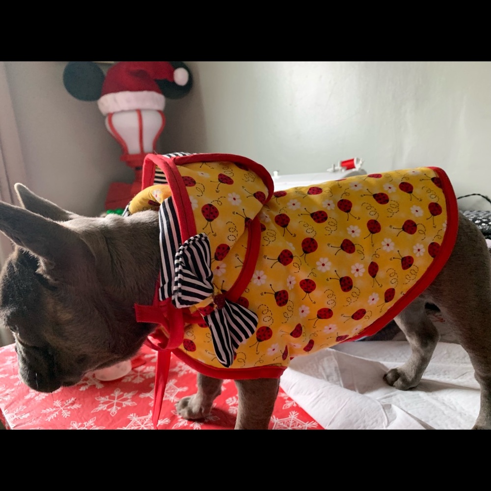 Doggy coats! lMany styles Email your design choice